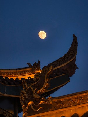 [不負美好]＋12，13夜