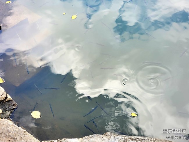 【7.25回顧】相約三星攝影...品韓國烤肉！