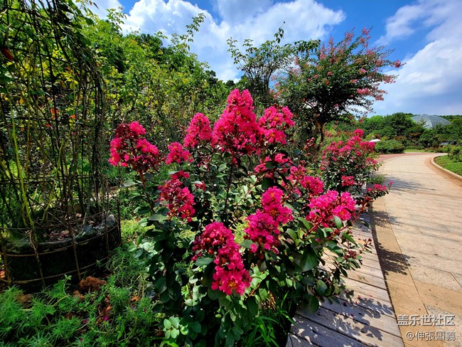 【7.25回顧】相約三星攝影...品韓國烤肉！