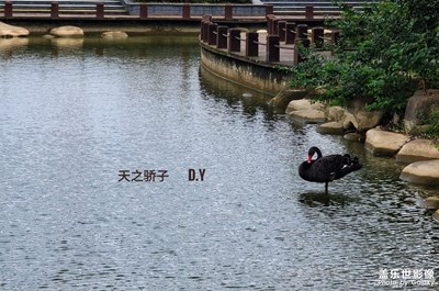 和諧共生