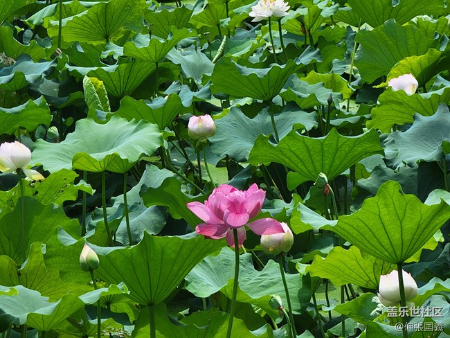 【7.25回顧】相約三星攝影...品韓國烤肉！