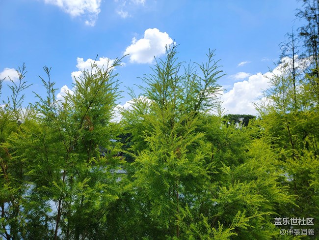 【7.25回顧】相約三星攝影...品韓國烤肉！