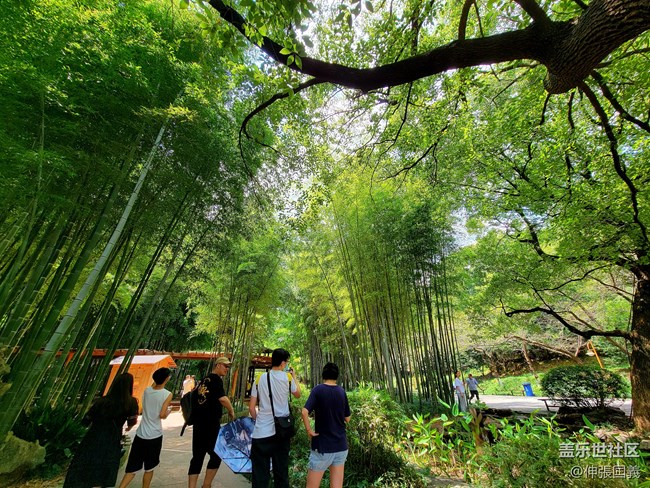 【7.25回顧】相約三星攝影...品韓國烤肉！