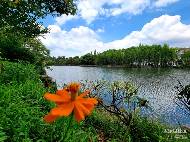 【7.25回顧】相約三星攝影...品韓國烤肉！