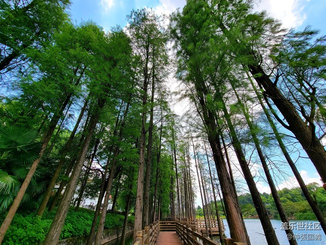 【7.25回顧】相約三星攝影...品韓國烤肉！