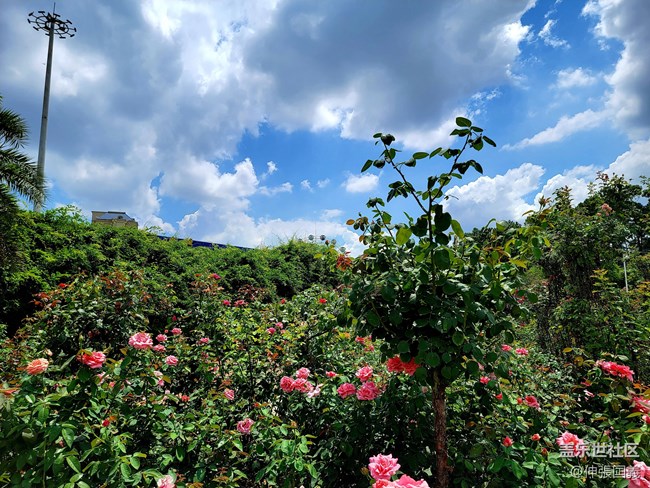 【7.25回顧】相約三星攝影...品韓國烤肉！