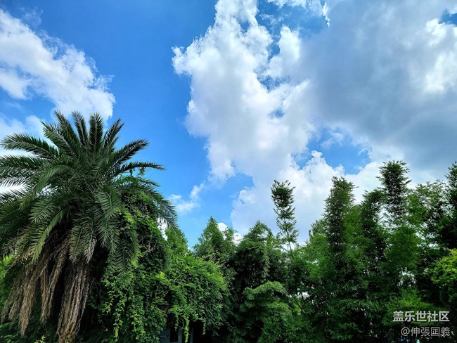 【7.25回顧】相約三星攝影...品韓國烤肉！