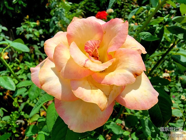 【7.25回顧】相約三星攝影...品韓國烤肉！