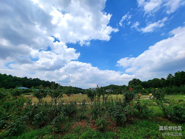 【7.25回顧】相約三星攝影...品韓國烤肉！