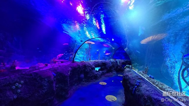 三星沈陽星部落海洋館活動