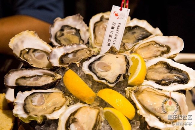 這六種生蠔，不要說吃過，你可能連名字都叫不上來！