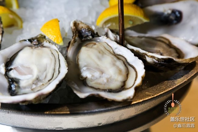 這六種生蠔，不要說吃過，你可能連名字都叫不上來！