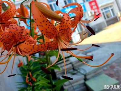 田園生活