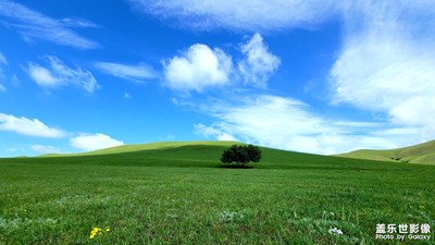 克什克騰之夏