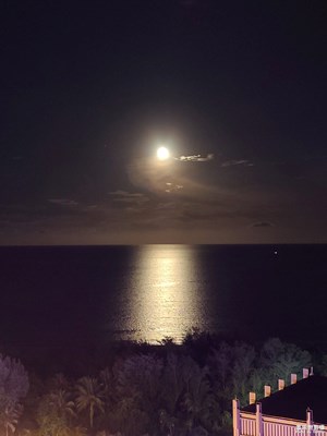 【魅力夜晚】+星月神話