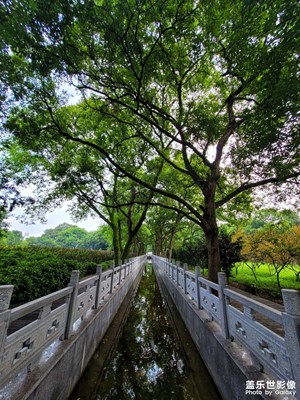 一條路彎彎曲曲細(xì)又長(zhǎng)