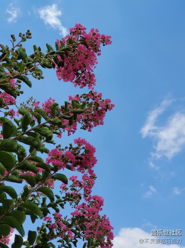 【回顧】2021.7.25長沙星部落線下攝影活動