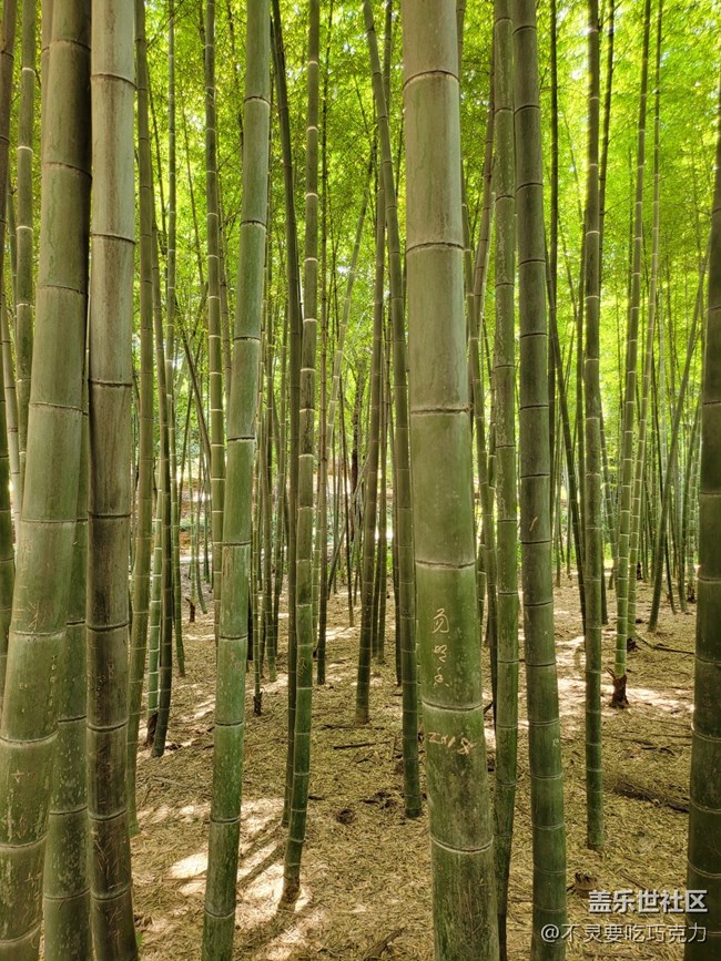 【回顧】2021.7.25長沙星部落線下攝影活動