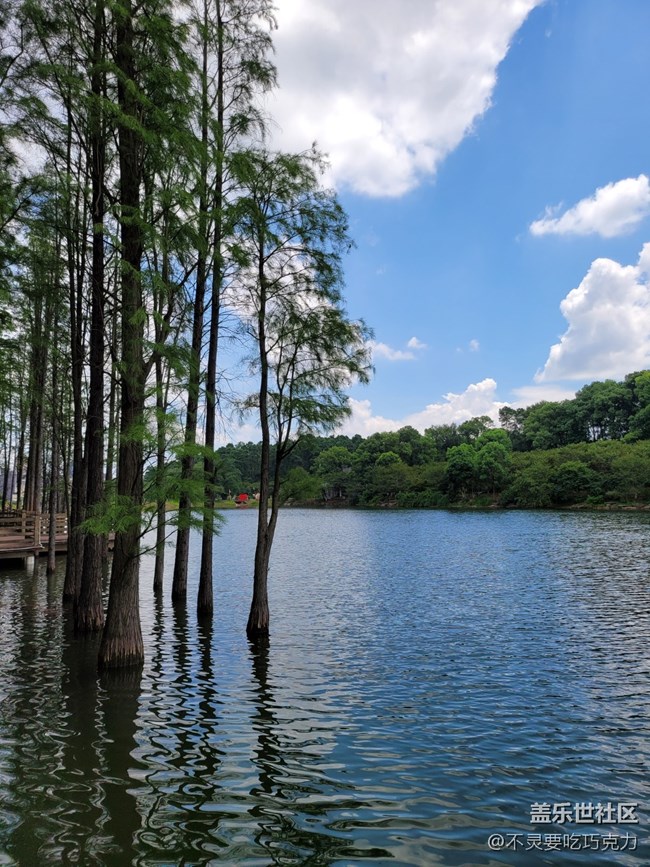 【回顧】2021.7.25長沙星部落線下攝影活動