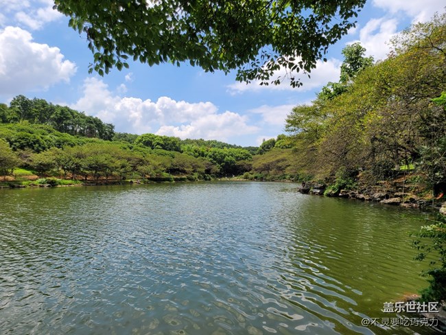 【回顧】2021.7.25長沙星部落線下攝影活動