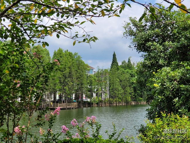 【回顧】2021.7.25長沙星部落線下攝影活動