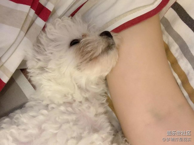 【精致生活】+一起懶洋洋