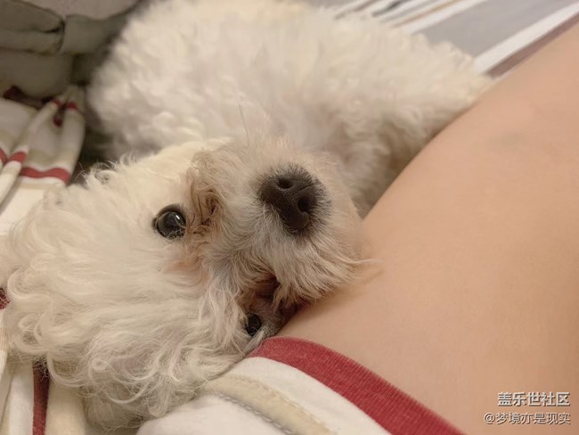 【精致生活】+一起懶洋洋