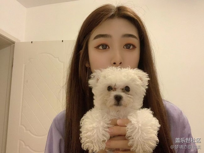 【精致生活】+一起懶洋洋