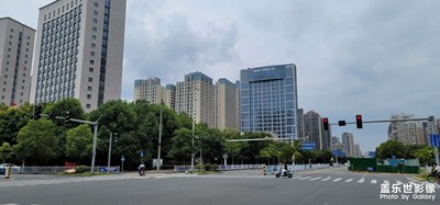 大愛原相機