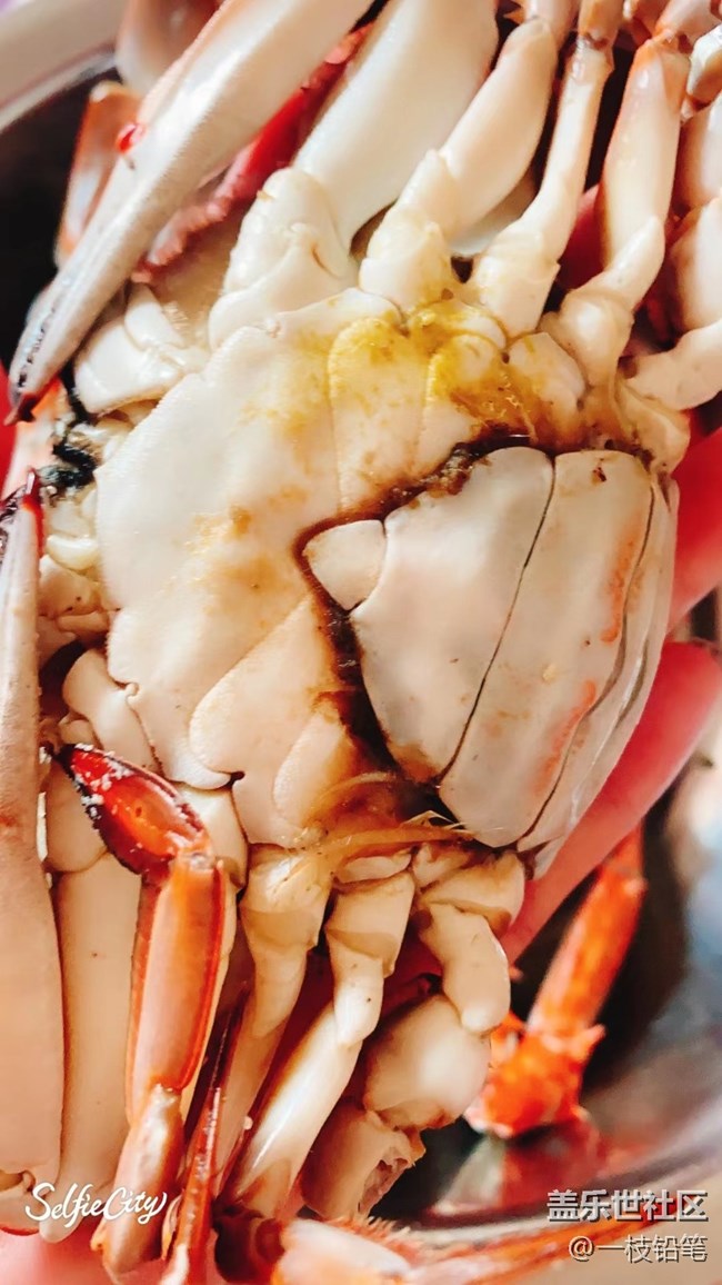 【精致生活】大螃蟹
