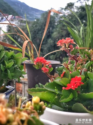 立秋