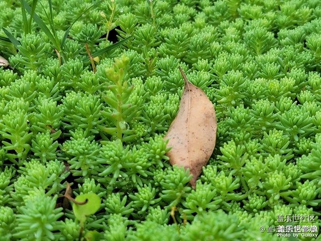 《每周星鮮事》 第76期:Z Fold3/Flip3 5G全款排隊進(jìn)行中 《每周星鮮事》 第76期:Z Fold3/Flip3 5G全款排隊進(jìn)行中