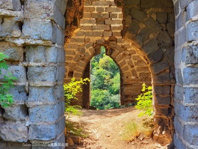 已開獎【蓋樂世影像周賽第204期】——光影故事