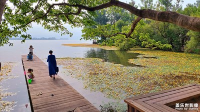 晨光中的海子