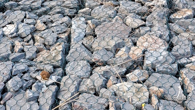 【精致生活】+公園小憩