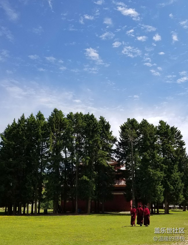 【你好，色彩！】+綠色甘南