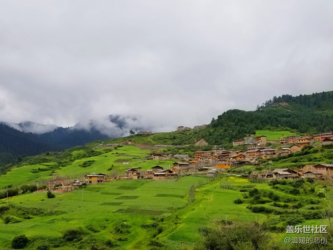 【你好，色彩！】+綠色甘南