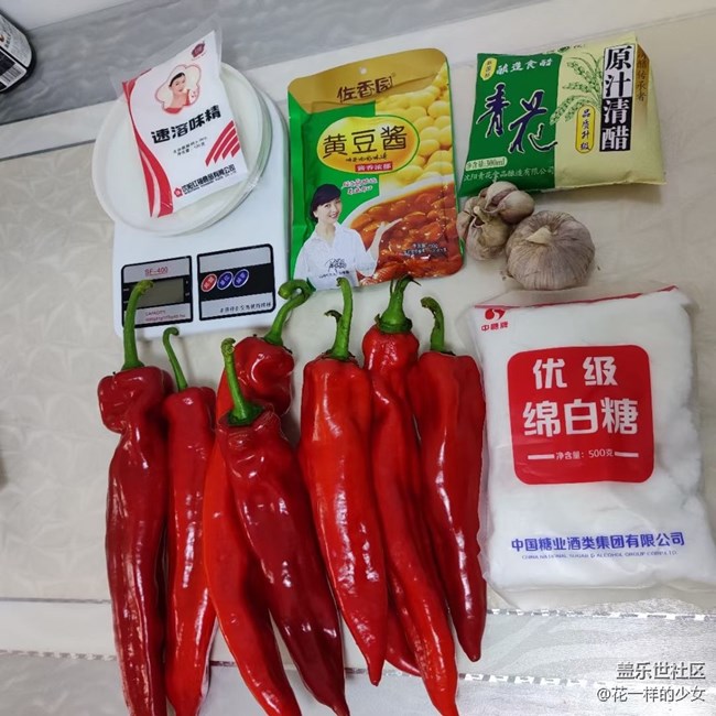 {精致生活}自作辣椒醬