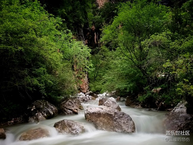 【你好，色彩！】+綠色甘南