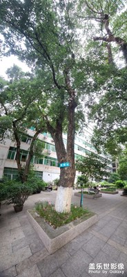 全景攝影