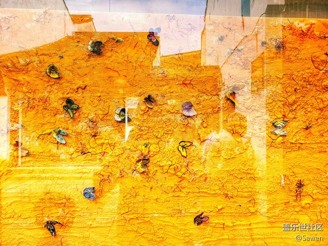 #八月蘇州城#感受姑蘇雅致