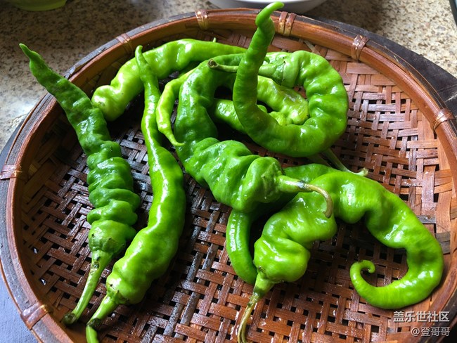 老干媽青椒炒肉