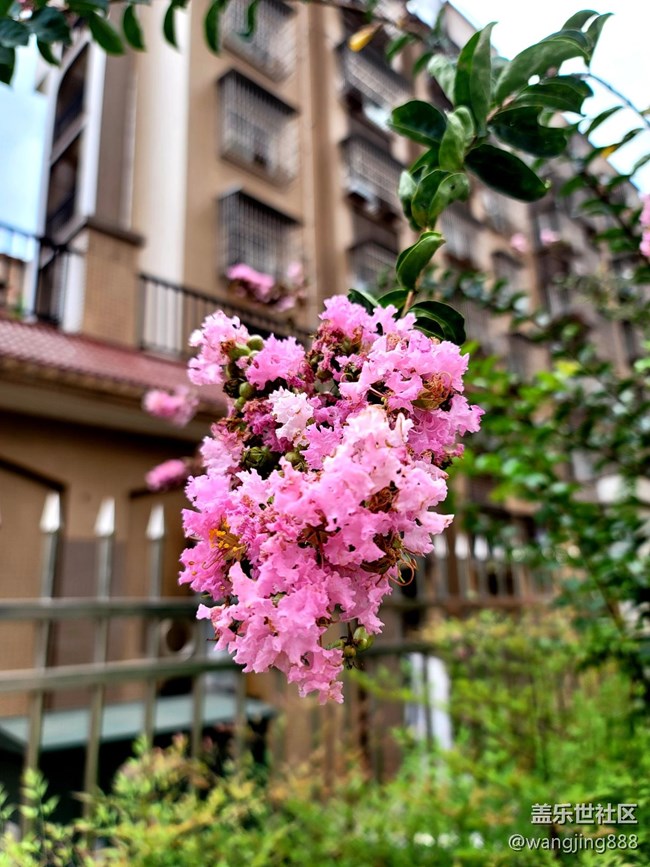 AI 拍月亮我們拍的月亮是不是長(zhǎng)得都一樣?。? title=