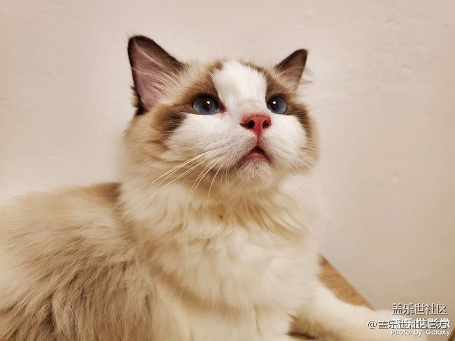 《每周星鮮事》 第77期:9月1日 Galaxy 中國區(qū)發(fā)布會