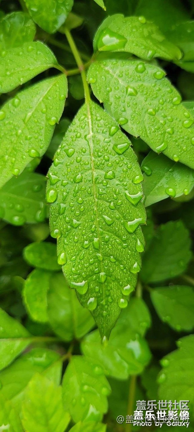 《每周星鮮事》 第77期:9月1日 Galaxy 中國區(qū)發(fā)布會