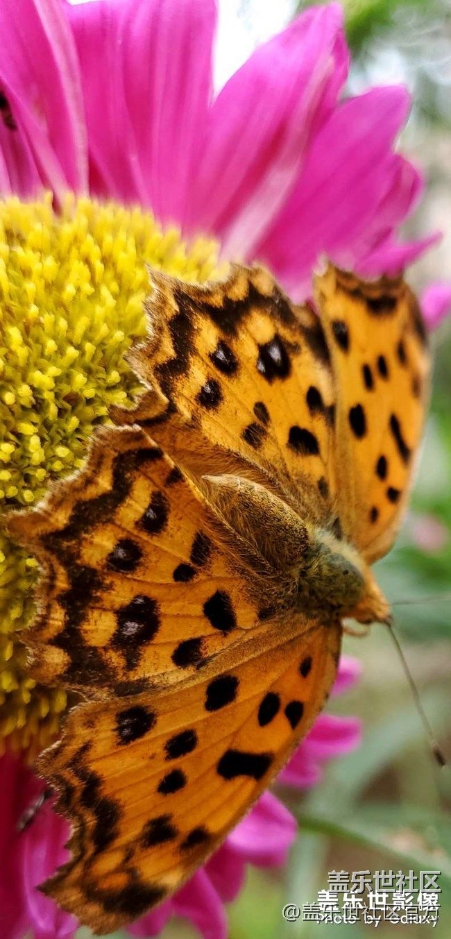 《每周星鮮事》 第77期:9月1日 Galaxy 中國區(qū)發(fā)布會