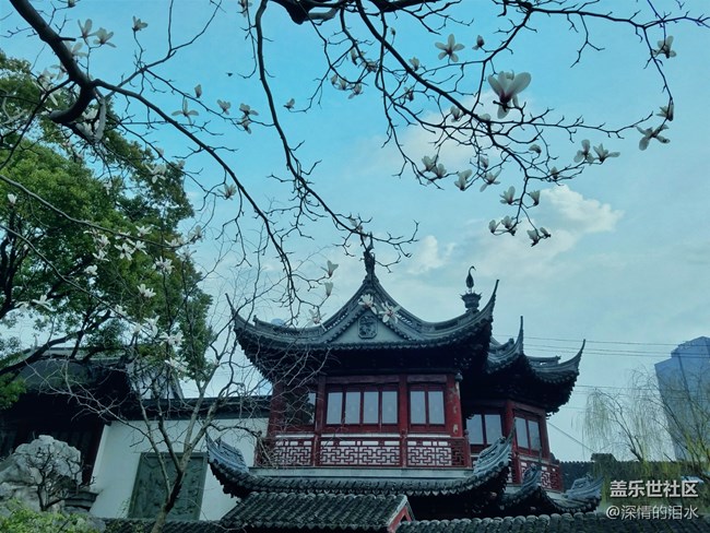 #打卡上海——豫園