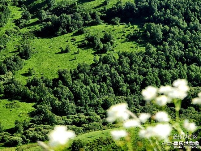 《每周星鮮事》 第77期:9月1日 Galaxy 中國區(qū)發(fā)布會