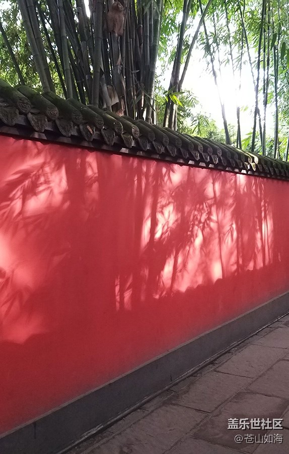 [你好，色彩]成都紅墻