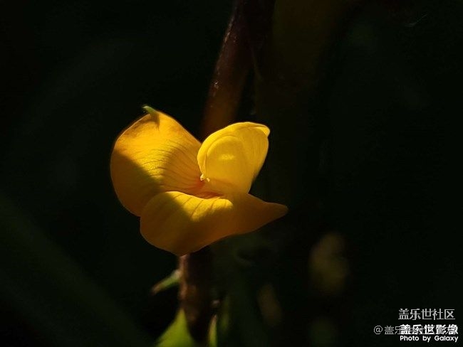 《每周星鮮事》 第77期:9月1日 Galaxy 中國區(qū)發(fā)布會